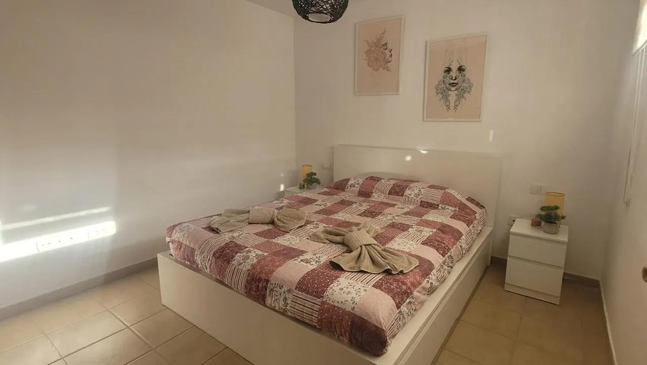 Discover The North Of The Island Of Tenerife La Laguna  Daire