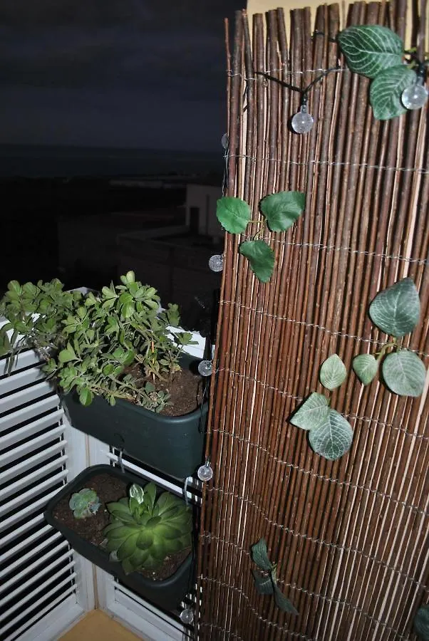 Discover The North Of The Island Of Tenerife La Laguna  0*, La Laguna (Tenerife) İspanya